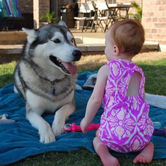 Meet your Posher, Autumn - Picture 2 of 6